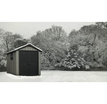 Abri de jardin en hiver recouvert de neige