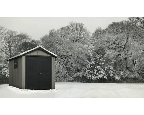 Abri de jardin en hiver recouvert de neige
