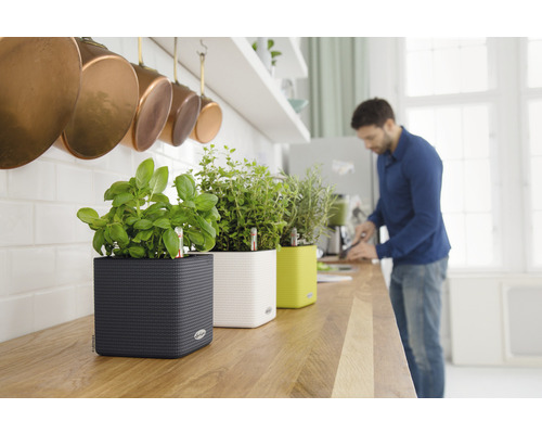 Küche mit Kräutern in Pflanzgefäßen auf einer Arbeitsplatte und einer Person im Hintergrund