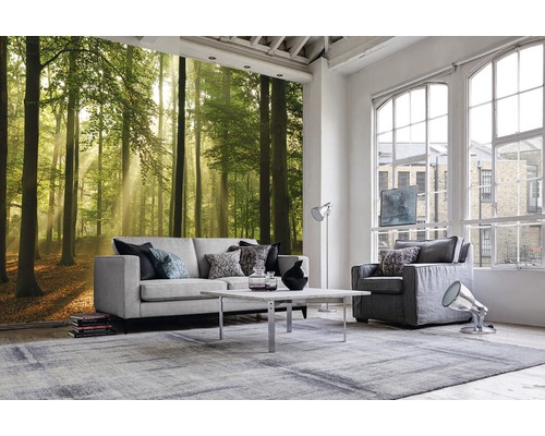 Salon avec papier peint forêt, canapé, fauteuil, tapis et table