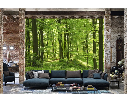 Salon avec papier peint photo représentant une forêt verte
