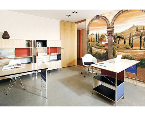 Aménagement de bureau avec système d''étagères, bureau et peinture murale