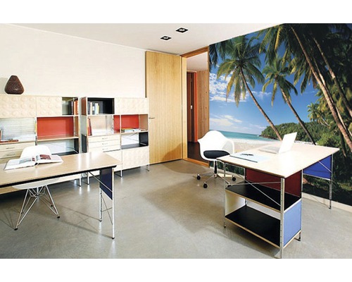 Bureau avec bureaux, étagères et papier peint photo