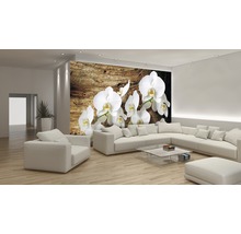 Salon avec papier peint photo avec des orchidées sur fond de bois, canapé et fauteuil