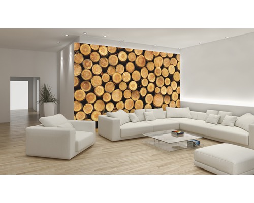 Salon lumineux avec une fresque murale de piles de bois, un canapé et une table basse