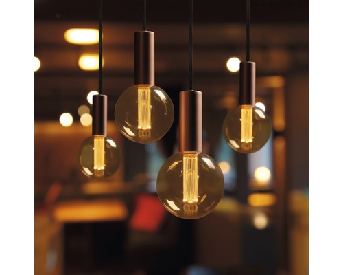 Mehrere Pendelleuchten mit runden Glühbirnen hängen von der Decke