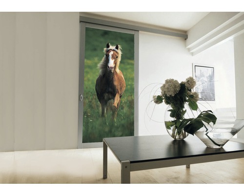 Porte coulissante avec motif de cheval dans un espace de vie