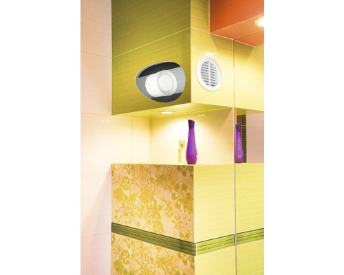 Vue de salle de bains avec porte-papier toilette intégré et ventilateur