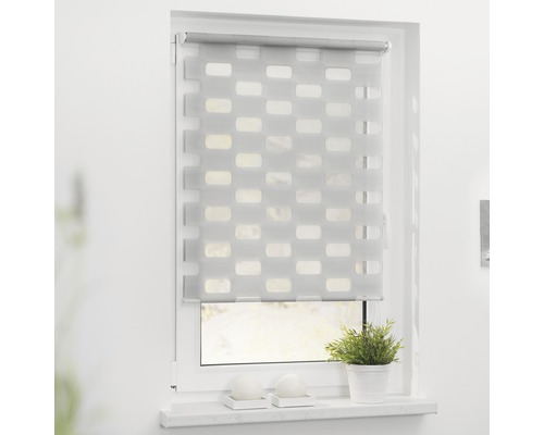Fenêtre avec store enrouleur double pour l’intimité et la protection solaire