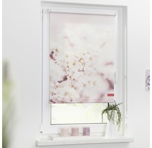 Klemmrollo Lichtblick ohne Bohren Kirschblüten 45x150 cm inkl. Klemmträger