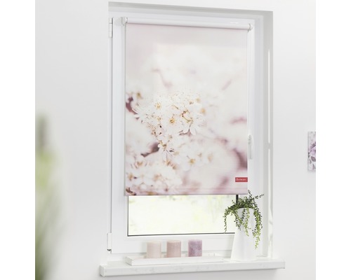 Store à clipser Lichtblick sans vissage fleurs de cerisier 45x150 cm, supports de serrage compris