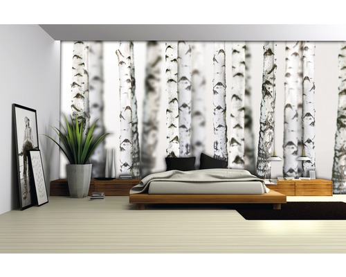 Chambre à coucher avec papier peint forêt de bouleaux, lit et décorations pour une ambiance apaisante.