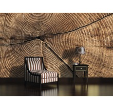 Pièce décorative avec papier peint à motif de tronc d''arbre, fauteuil et lampe de table