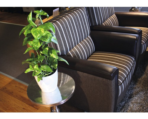 Scène de salon avec canapé, table d''appoint et plante d''intérieur