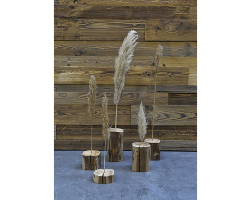 Dekorative Pampasgras Arrangements in Holzsockeln vor Holzwand