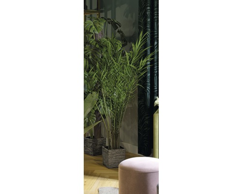 Plantes d''intérieur décoratives dans des pots structurés dans un espace de vie.