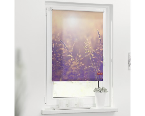 Store à clipser Lichtblick sans vissage soir d'été 45x150 cm, supports de serrage compris