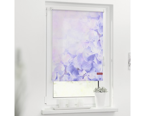 Store à clipser Lichtblick sans vissage hortensias 45x150 cm, supports de serrage compris