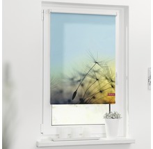 Store à clipser Lichtblick sans vissage fleur à souffler 45x150 cm, supports de serrage compris