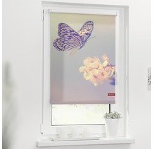 Klemmrollo Lichtblick ohne Bohren Schmetterling 60x150 cm inkl. Klemmträger