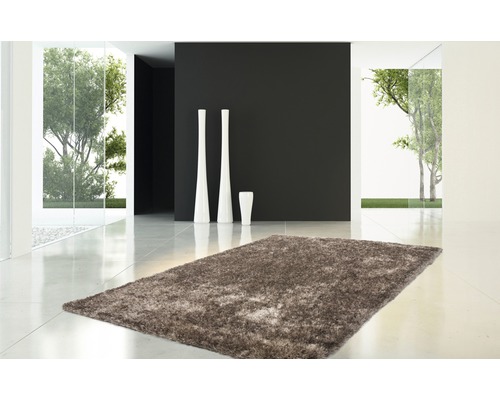 Tapis à poils longs brun dans une pièce moderne avec des vases blancs