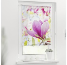 Klemmrollo Lichtblick ohne Bohren Magnolie 45x150 cm inkl. Klemmträger