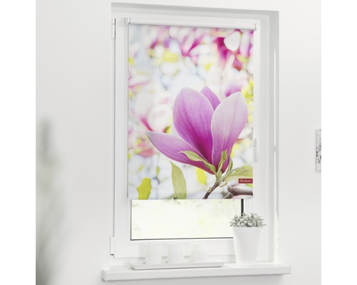 Store à clipser Lichtblick sans vissage magnolia 45x150 cm, supports de serrage compris