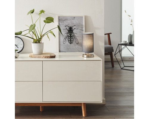 Scène de salon avec commode, lampe de table, plante et décoration