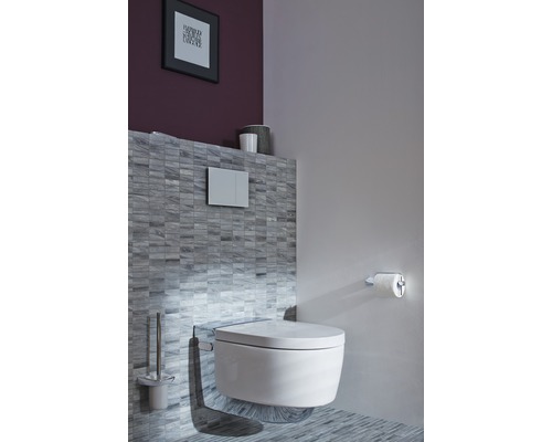 Modernes Badezimmer mit wandhängendem WC, Spülkasten und Toilettenpapierhalter