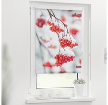 Fensterrollo mit einem Motiv von roten, schneebedeckten Vogelbeeren