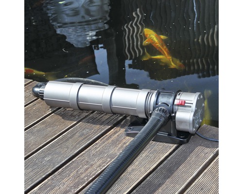 Aspirateur de bassin à côté d''un étang avec des poissons sur une passerelle en bois