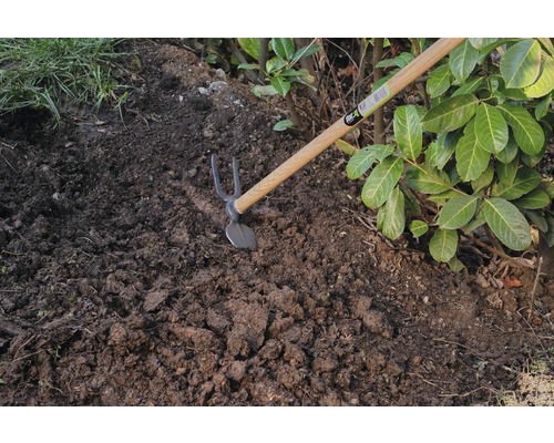 Binette de jardin avec manche en bois utilisée sur une plate-bande à côté de plantes.