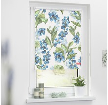 Fenêtre avec un store à motif de baies pour la protection solaire
