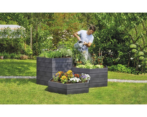 Un homme arrose des plantes dans trois plates-bandes surélevées dans le jardin.