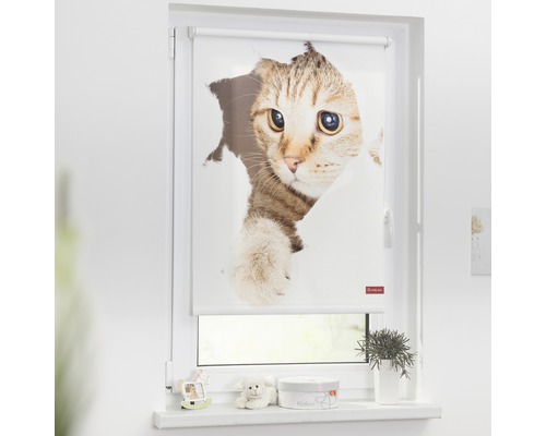 Store à clipser Lichtblick sans perçage thermo chat 45x150 cm avec support à clipser