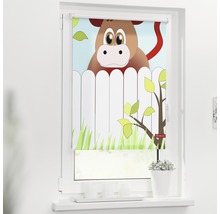 Fenster mit Rollo mit Pferde Motiv