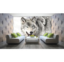 Wohnzimmer mit Wolf Fototapete, Sofas und Couchtisch