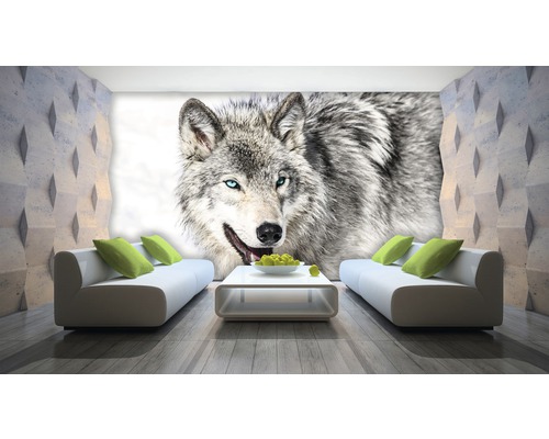 Wohnzimmer mit Wolf Fototapete, Sofas und Couchtisch