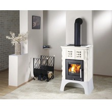 Poêle de cheminée avec bois de chauffage et serviteur de cheminée dans la pièce à vivre