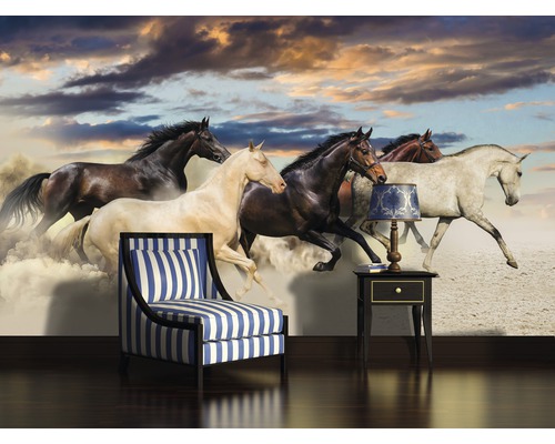 Papier peint photo avec motif de chevaux au galop dans un salon