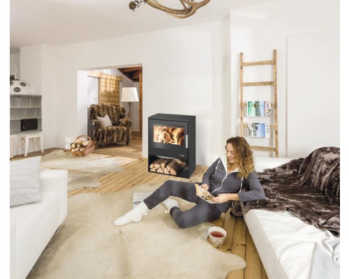 Salon avec poêle à bois, canapé et échelle en bois