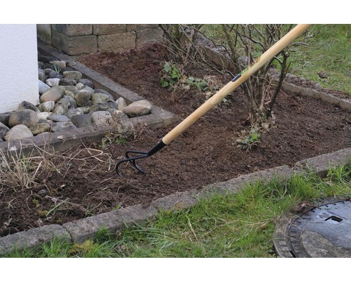 Sarcloir à jardin avec manche en bois utilisé pour travailler le sol dans une plate-bande.