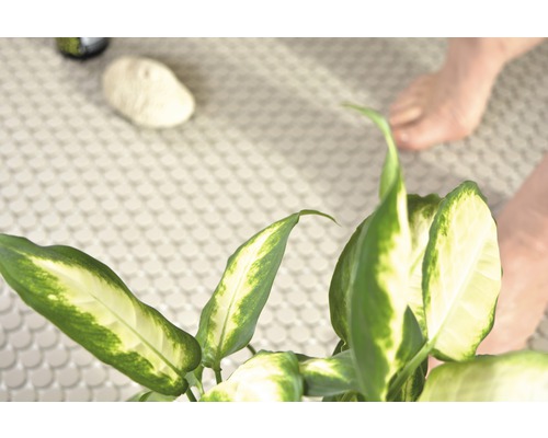 Scène d''une salle de bains avec plante en pot et carreaux ronds