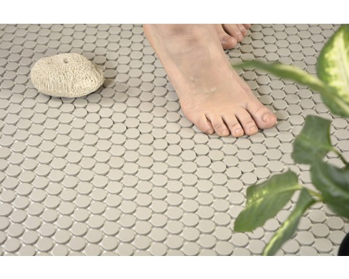 Sol de salle de bain avec carreaux de mosaïque, pied, pierre et plante