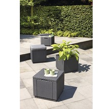 Gartenszene mit Aufbewahrungsboxen in Rattanoptik, die als Tisch, Hocker oder Pflanzgefäß dienen können.