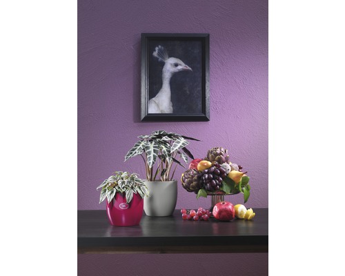 Arrangement décoratif avec plantes d''intérieur, fruits et une image encadrée au mur