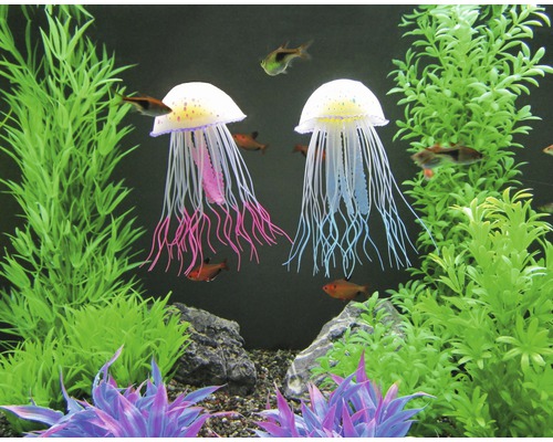 Aquarium avec deux décorations de méduses et plantes
