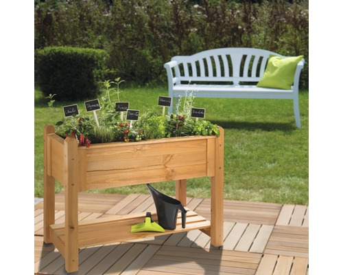 Table de plantation en bois avec herbes aromatiques, arrosoir et banc de jardin en arrière-plan