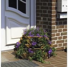 Jardinière à étages en bois devant une porte d''entrée avec des fleurs