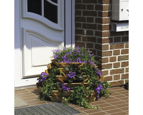 Jardinière à étages en bois devant une porte d''entrée avec des fleurs